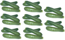 Zucchini-8x3.jpg